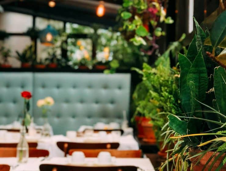 Les saveurs du Mexique : à la découverte des restaurants mexicains !
