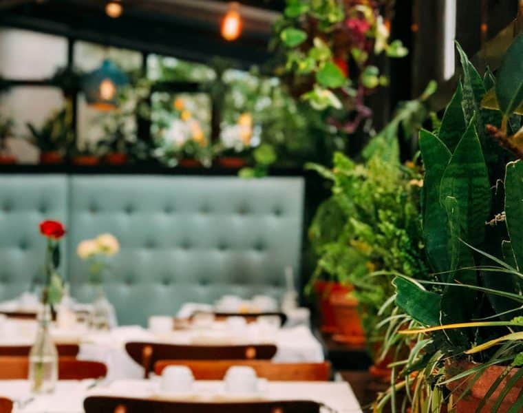 Les saveurs du Mexique : à la découverte des restaurants mexicains !